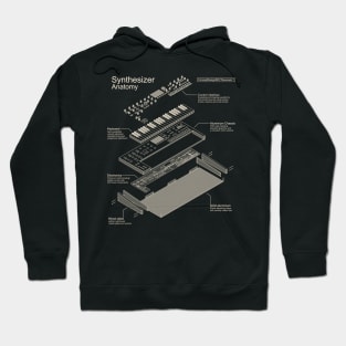 Synthesizer Anatomy design for Synth musician and music producer Hoodie